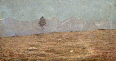 La pianta da Emilio Longoni