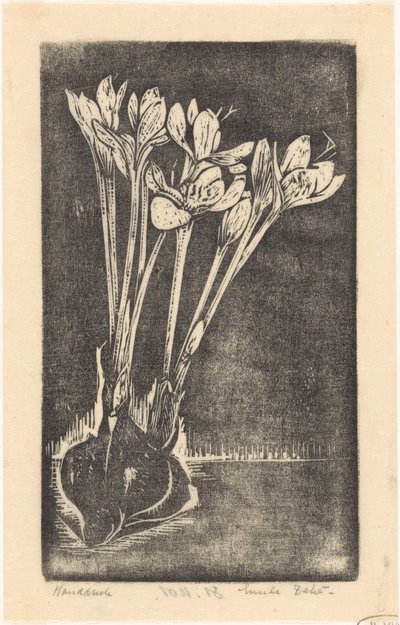Colchico autunnale da Emilius Wilhelmus Dehé (signed by artist)