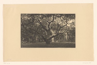 Vecchio albero da Emilius Wilhelmus Dehé (signed by artist)