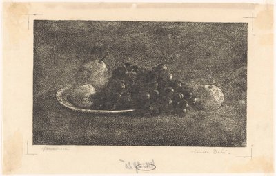Piatto con uva e altra frutta da Emilius Wilhelmus Dehé (signed by artist)