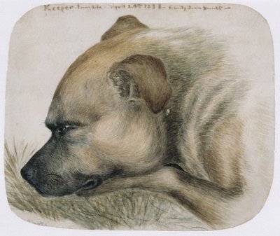 Guardiano - dal vivo da Emily Bronte