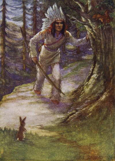 Non spararci, Hiawatha da Emily Farmer