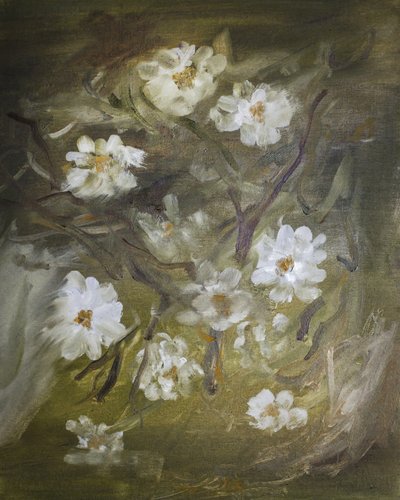 Morbidi fiori bianchi da Emily Tingey