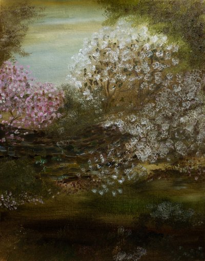 Giardino dei fiori primaverili da Emily Tingey