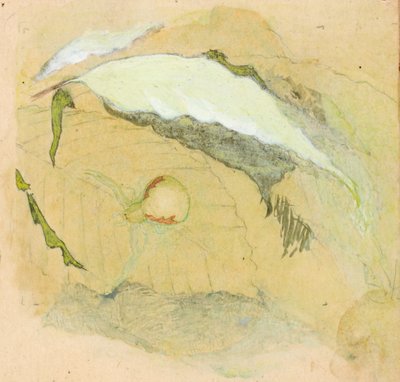 Ragno bianco porcellana da Emma Beach Thayer