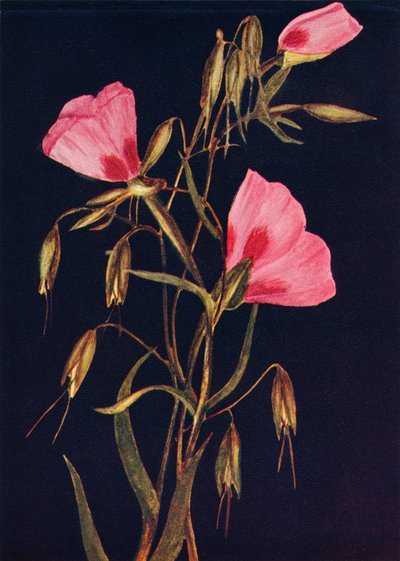 Addio alla primavera, c1915 da Emma Graham Clock