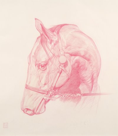 Testa di ritratto, 2010 da Emma Kennaway