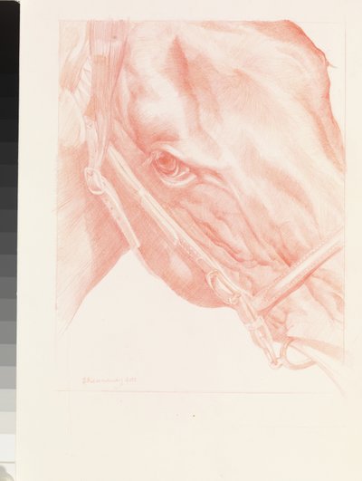 Testa di ritratto, 2012 da Emma Kennaway