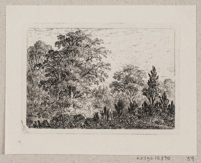 Paesaggio boschivo da Emma Meyer