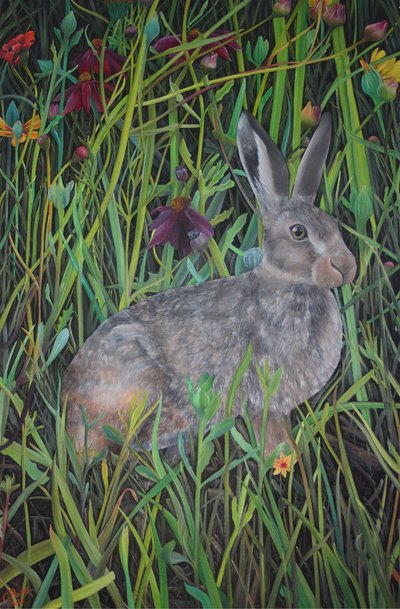 Tra i fiori di campo, 2022 (olio su tela) da Emma Pewsey