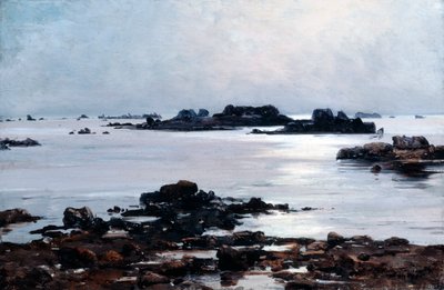 Ile de Sein, 1884 da Emmanuel Lansyer