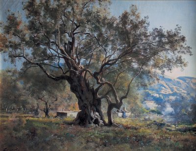 Ulivi a Vallonnet lungo la strada da Emmanuel Lansyer