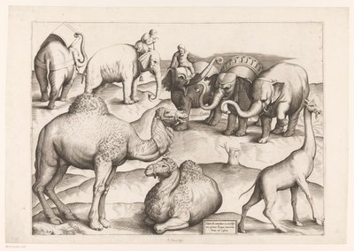 Otto animali da Enea Vico (attributed to)