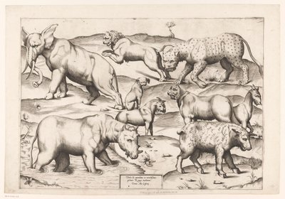 Nove animali da Enea Vico (attributed to)