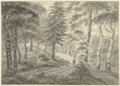 Veduta del bosco da Engelbert Michaël Engelberts
