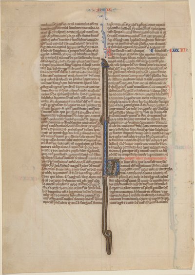 Foglio di Manoscritto da una Bibbia (Deuteronomio) da English 13th Century