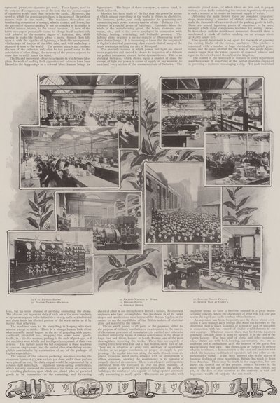 Una lezione oggettiva britannica da English Photographer