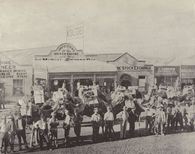 Un treno di cammelli, Coolgardie, Australia occidentale da English Photographer