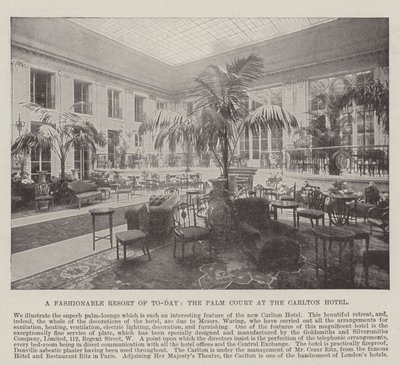 Una Località alla Moda di Oggi, la Palm Court al Carlton Hotel da English Photographer