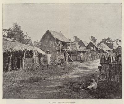 Un villaggio nella foresta in Madagascar da English Photographer