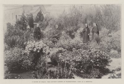Un rifugio di pace, il giardino del convento a Bloemfontein, usato come ospedale da English Photographer