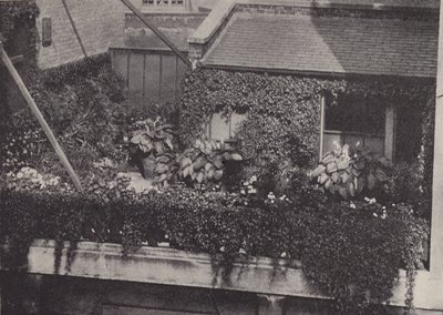 Un giardino sul tetto da English Photographer