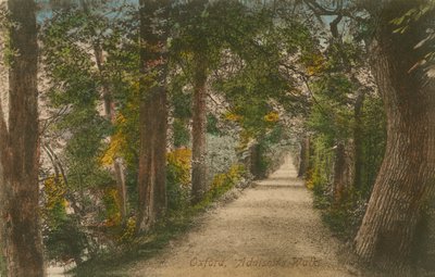 Addisons Walk, Oxford da English Photographer