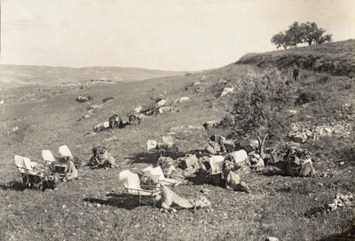 Cammelli ambulanza, c.1916-19 da English Photographer
