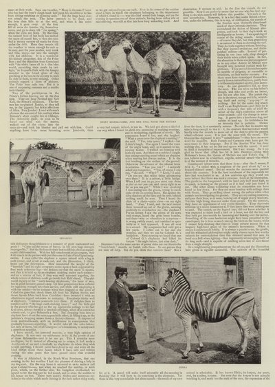 Un fotografo dilettante allo zoo da English Photographer