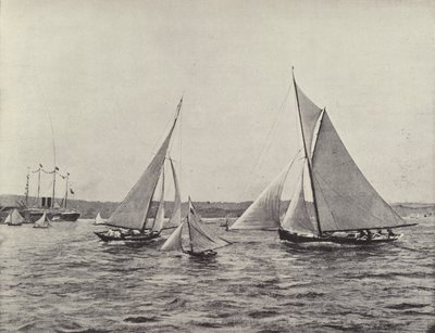 Regata dell