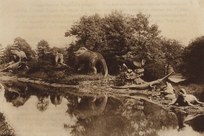 Animali Antediluviani da English Photographer