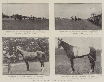 Vincitori e secondi classificati di Ascot da English Photographer