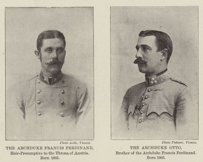 Erede Presuntivo Austriaco da English Photographer