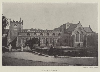 Cattedrale di Bangor da English Photographer