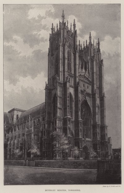 Cattedrale di Beverley, Yorkshire da English Photographer