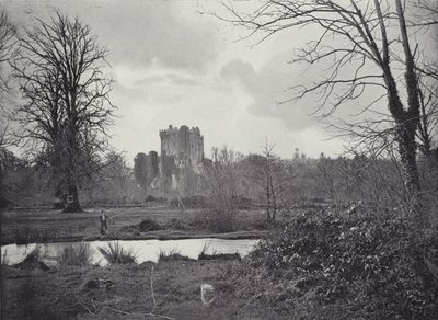 Castello di Blarney da English Photographer