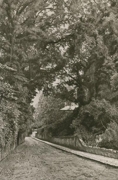 Bonchurch Road, Isola di Wight da English Photographer