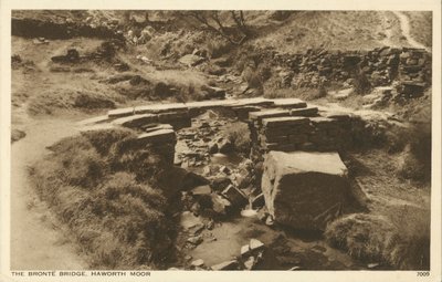 Ponte Bronte, Haworth Moor, Yorkshire (foto in b/n) da English Photographer