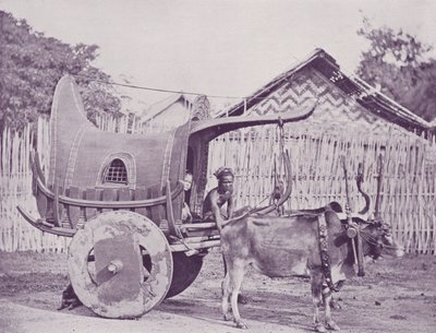 Carrozza Birmana e Coppia da English Photographer