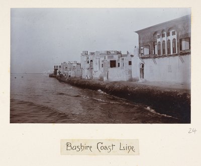 Costa di Bushire, da 
