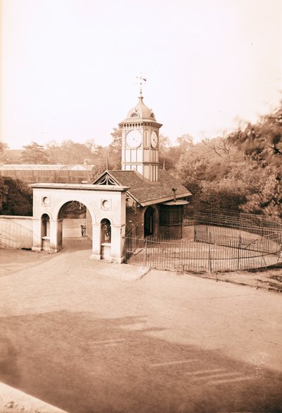 Casa dei Cammelli, Zoo di Londra da English Photographer