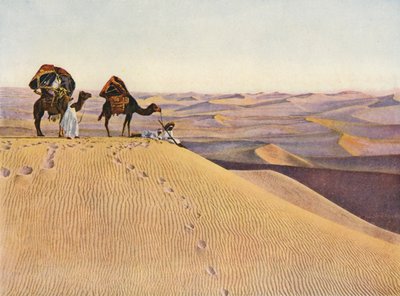 Cammelli nel Sahara (foto a colori) da English Photographer