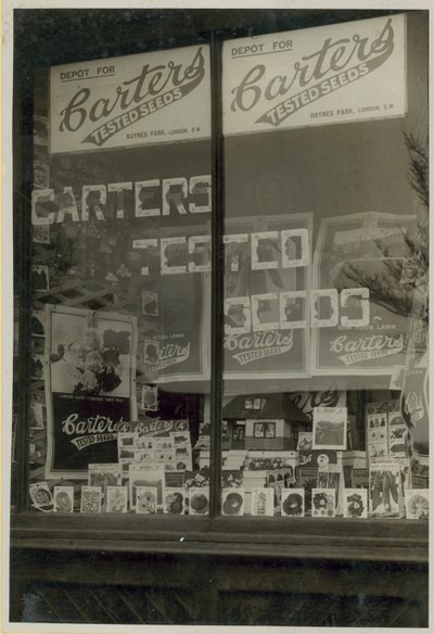 Esposizione di semi testati di Carters da English Photographer