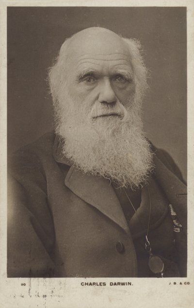 Charles Darwin (1809-1882), naturalista inglese da English Photographer