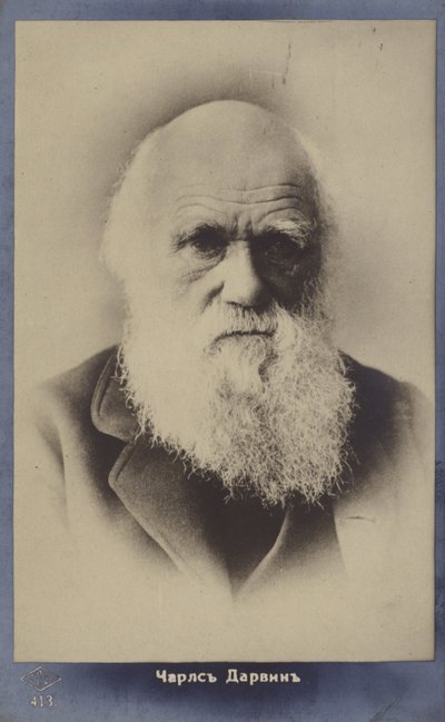 Charles Darwin (1809-1882), naturalista inglese da English Photographer