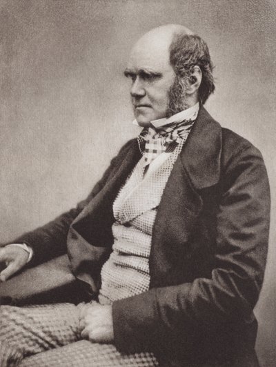 Charles Darwin, ritratto, c. 1854, da una fotografia di Maull & Fox da English Photographer