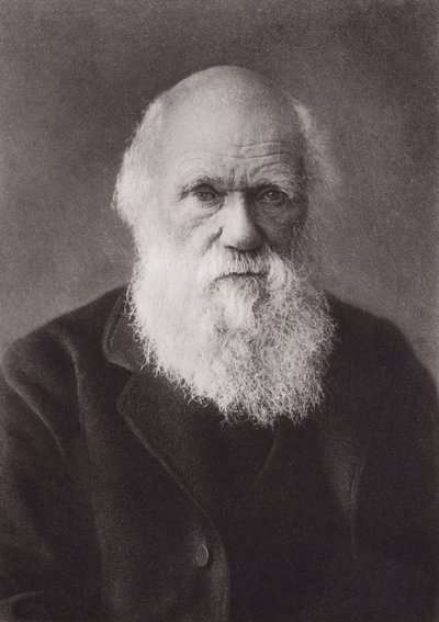Charles Darwin, ritratto, c. 1880 da English Photographer