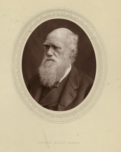 Charles Robert Darwin da English Photographer