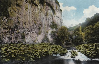 Chee Tor da English Photographer