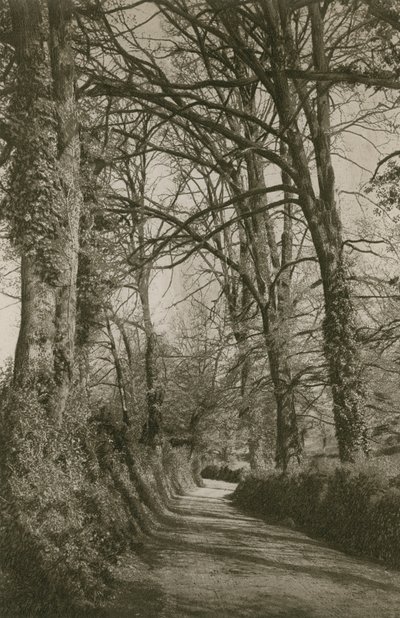 Cockington Lane, Devonshire, vicino a Torquay da English Photographer